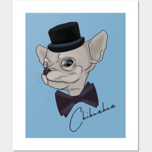 Chihuahua in a hat and bow tie Posters and Art